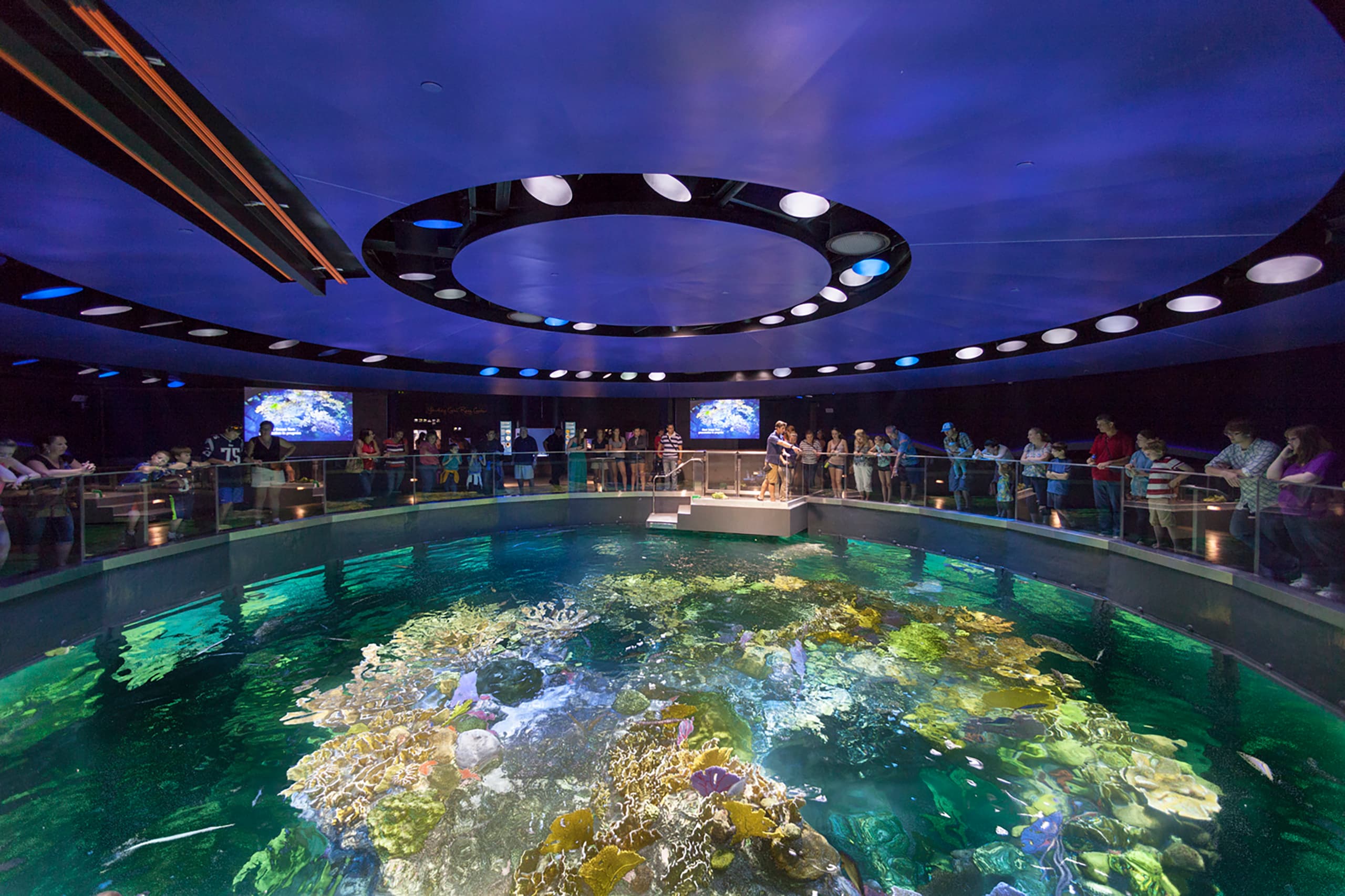 NEAq_01_available-light_museum