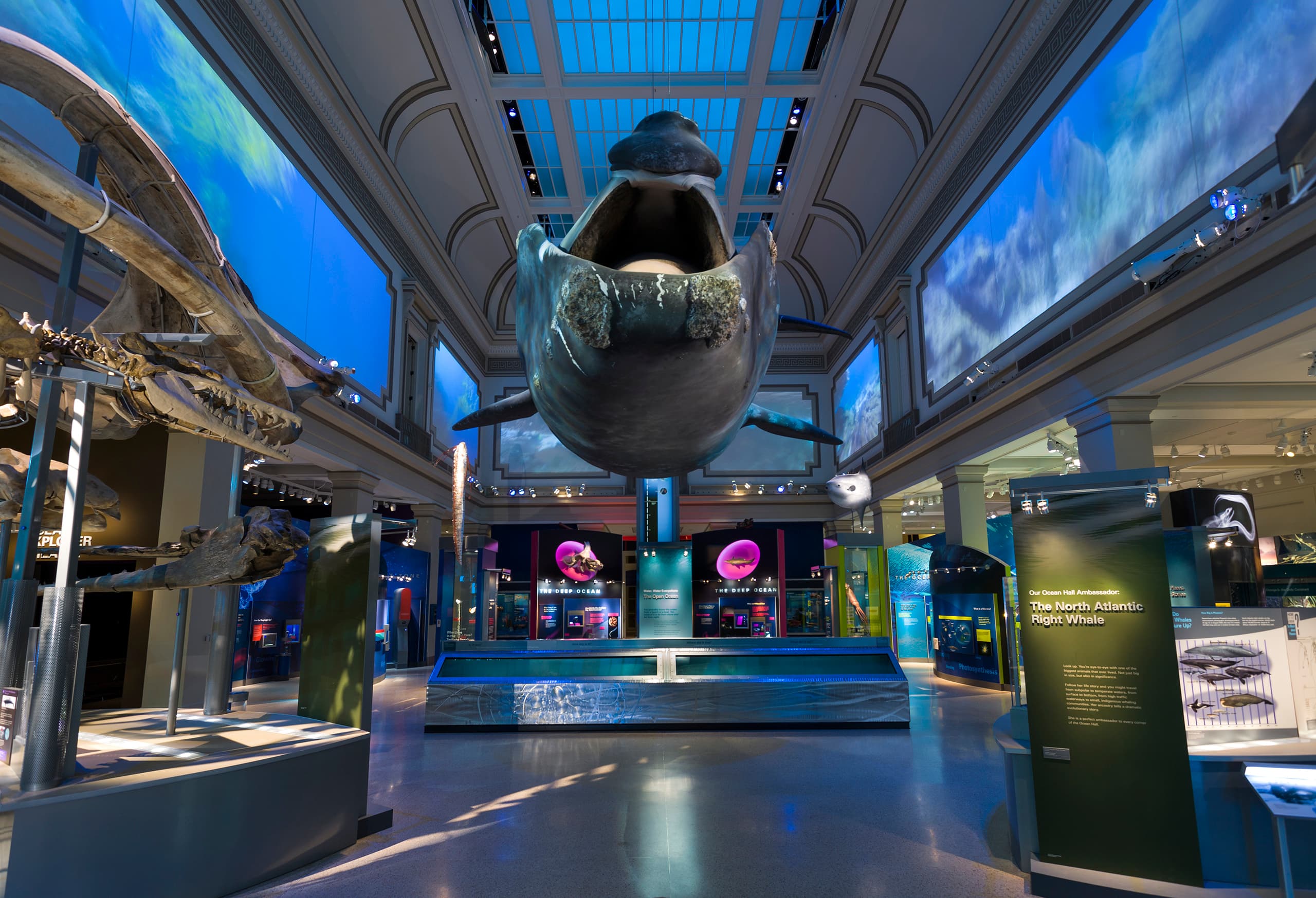 OceanHall_01_available-light_museum
