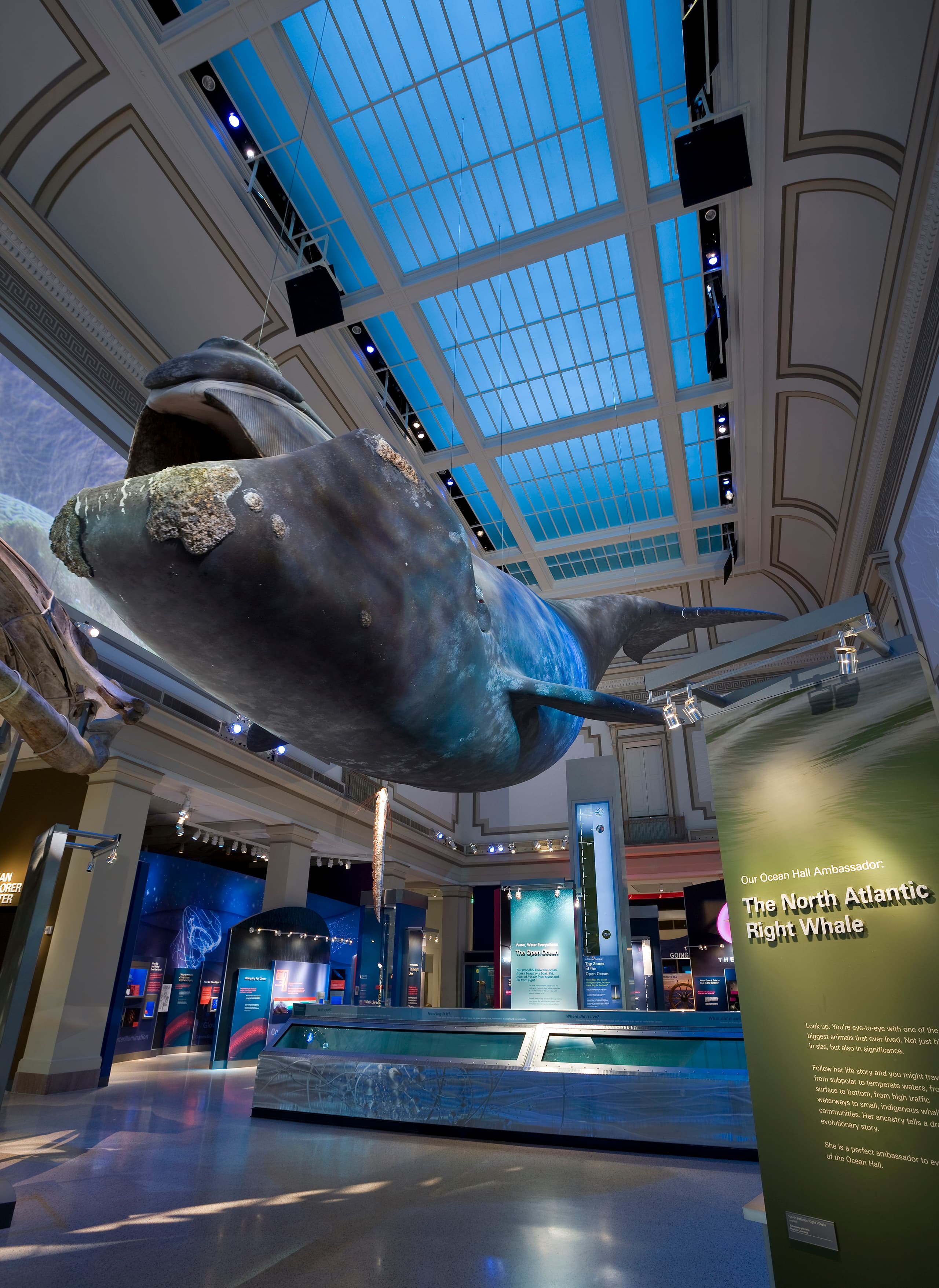 OceanHall_04_available-light_museum