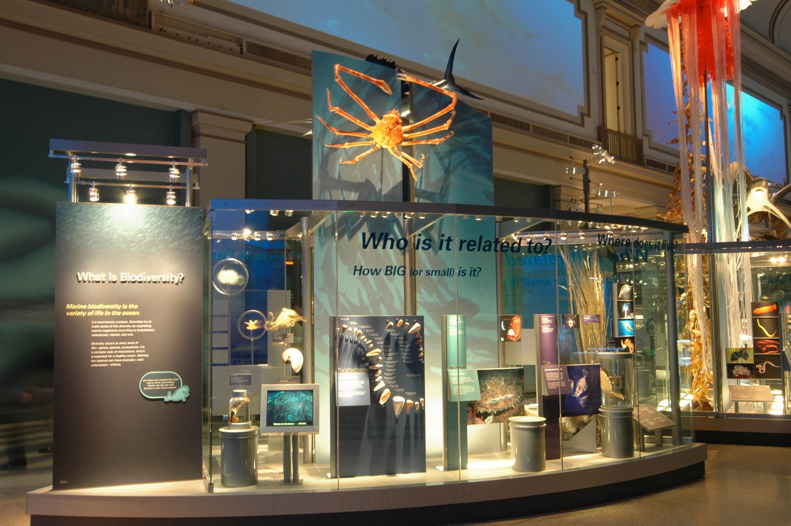 OceanHall_06_available-light_museum