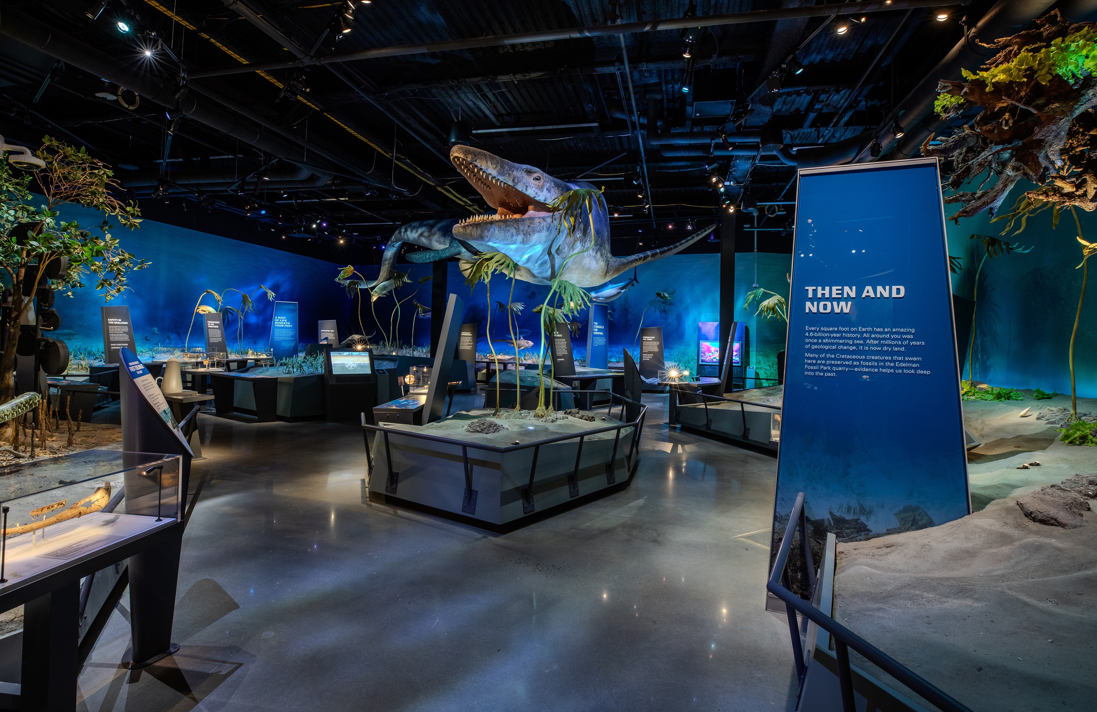 Edelman_01_available-light_museum