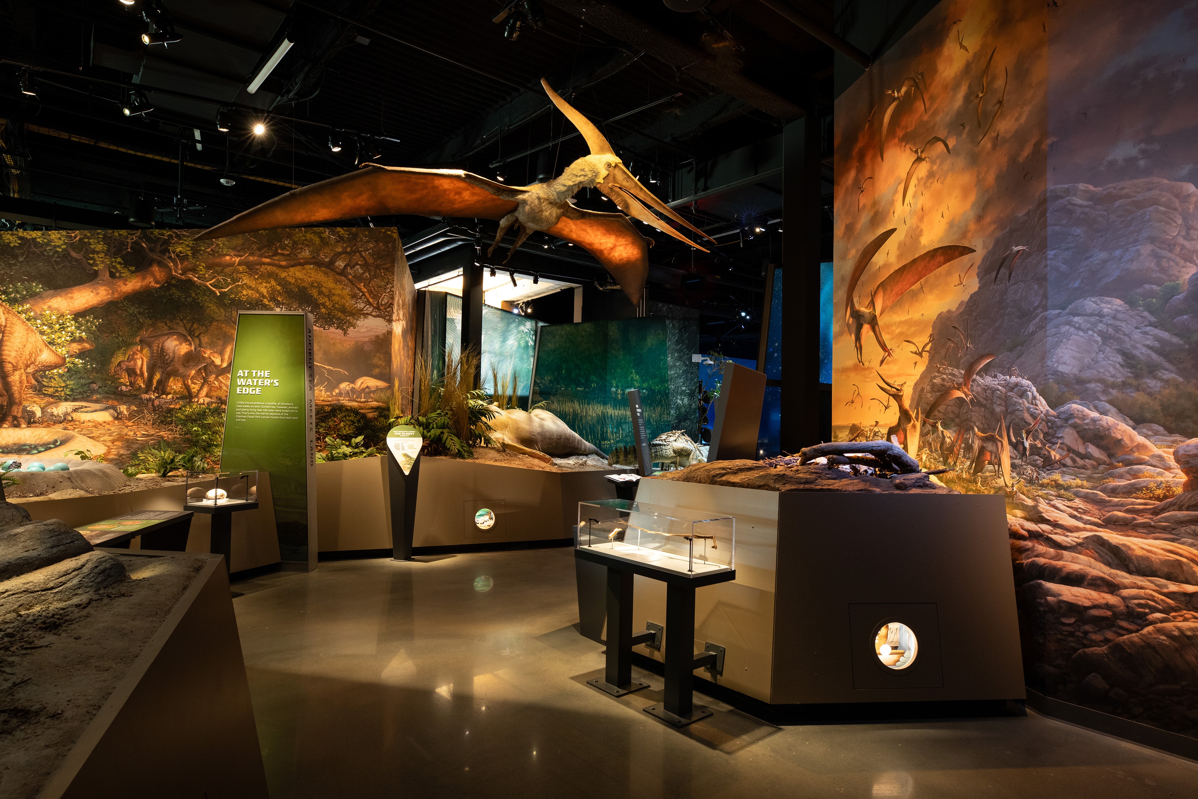 Edelman_02_available-light_museum