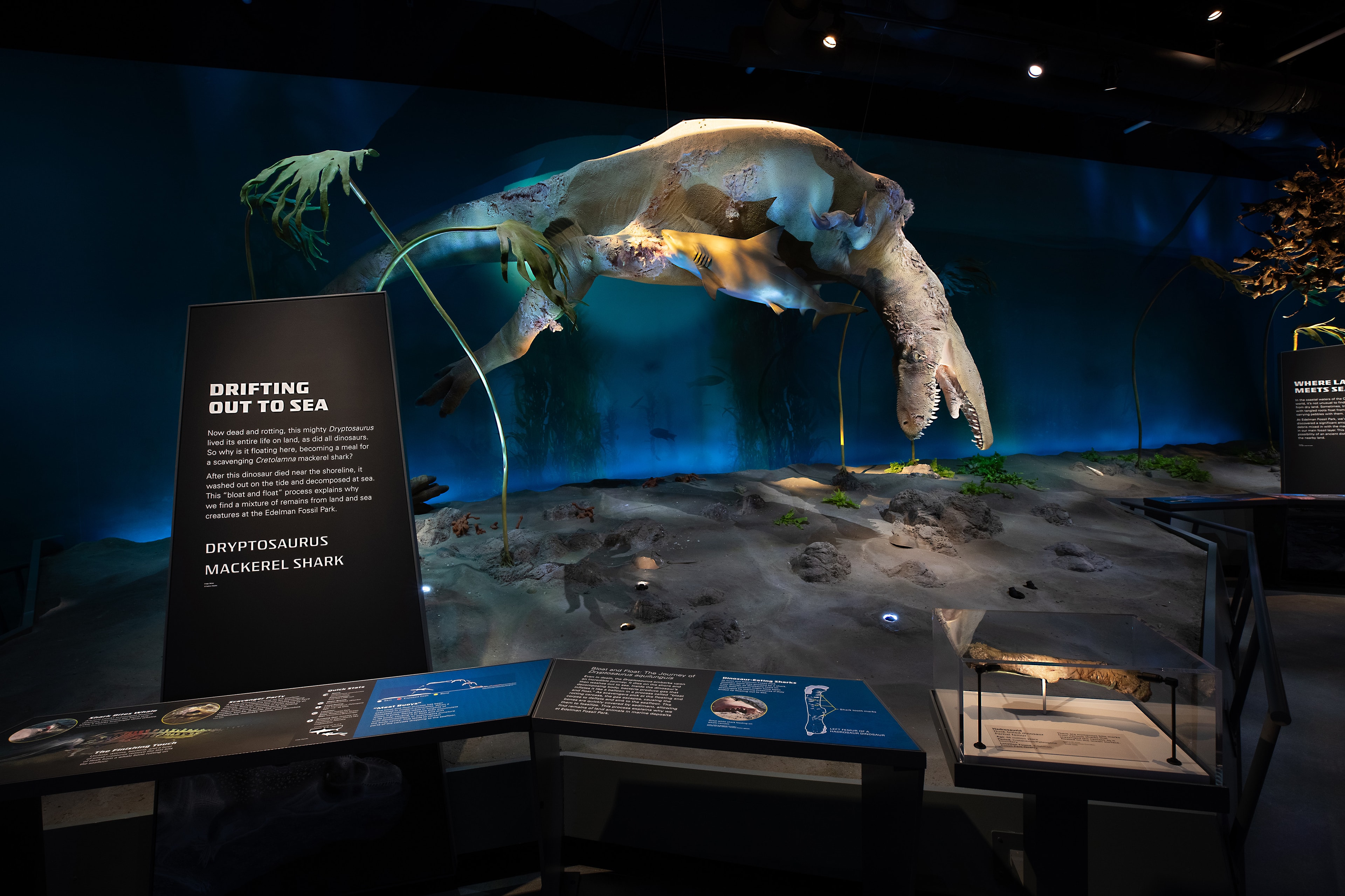 Edelman_06_available-light-museum