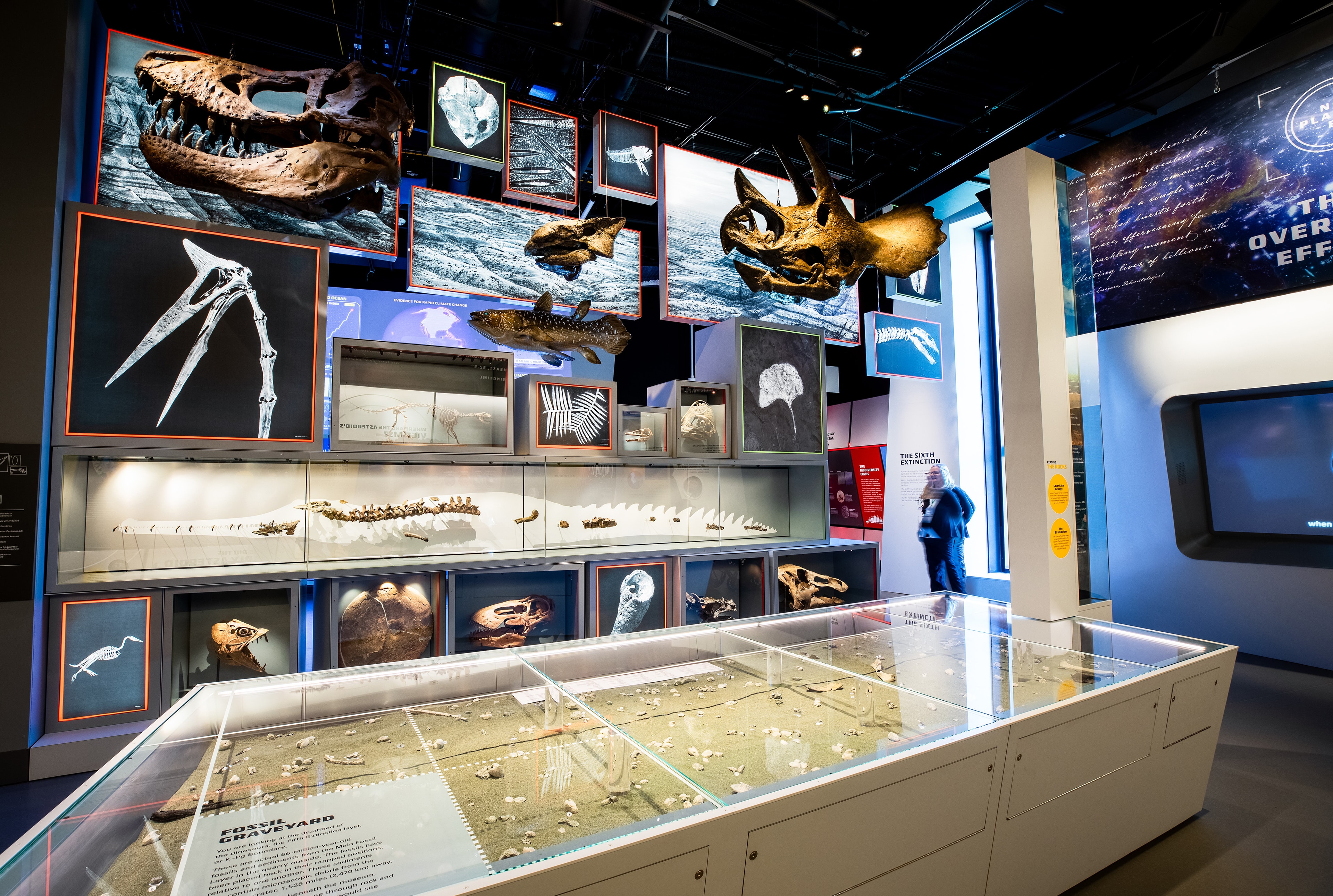 Edelman_07_available-light-museum