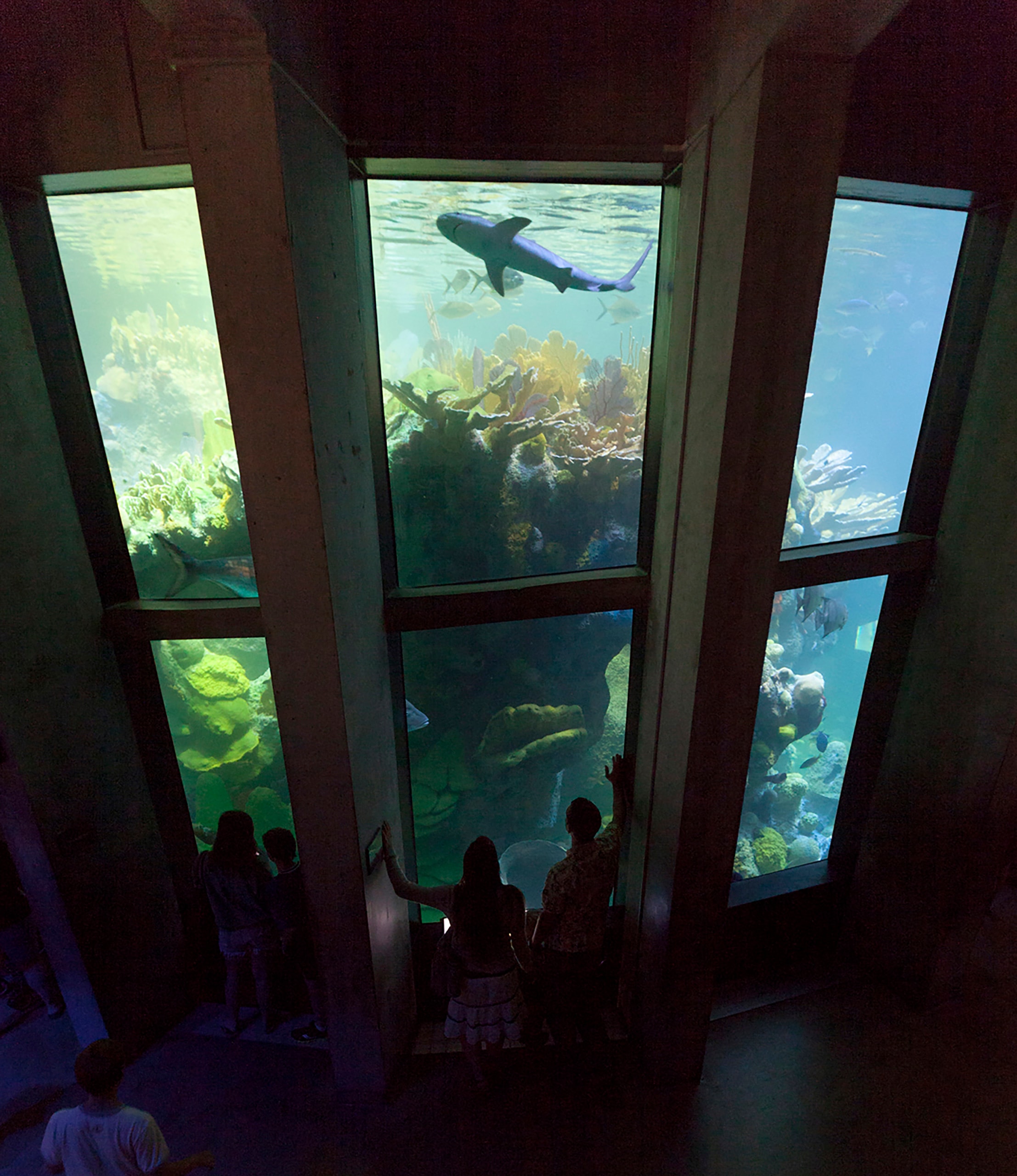 NEAq_02_available-light_museum