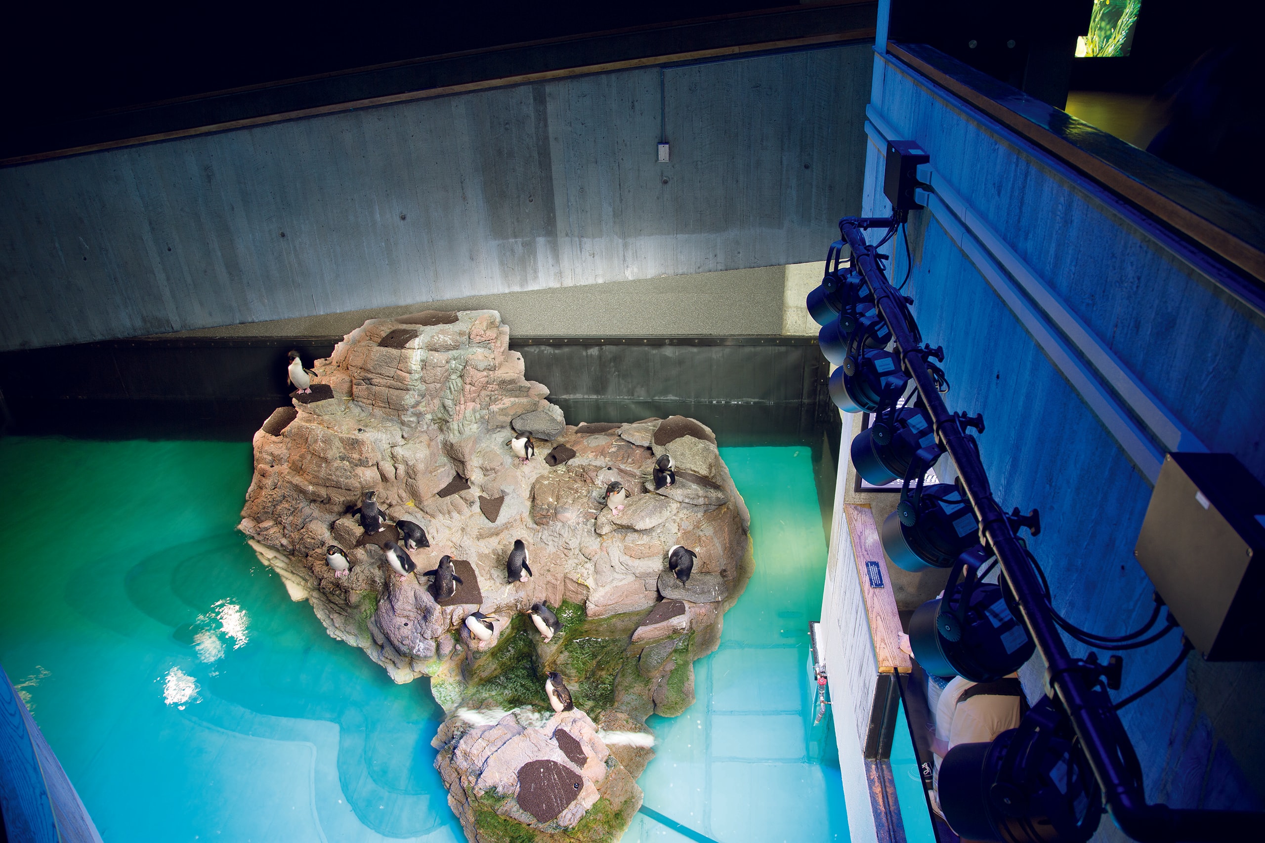 NEAq_04_available-light_museum