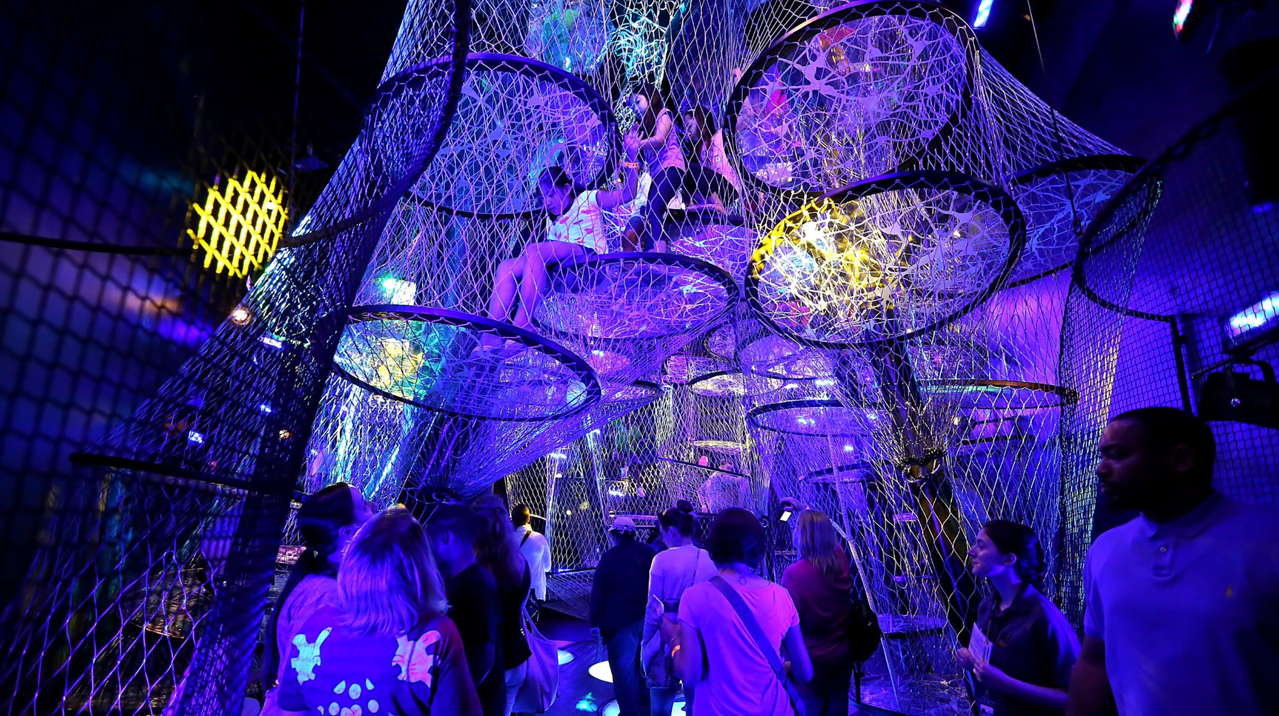 NeuralClimber_04_available-light_museum