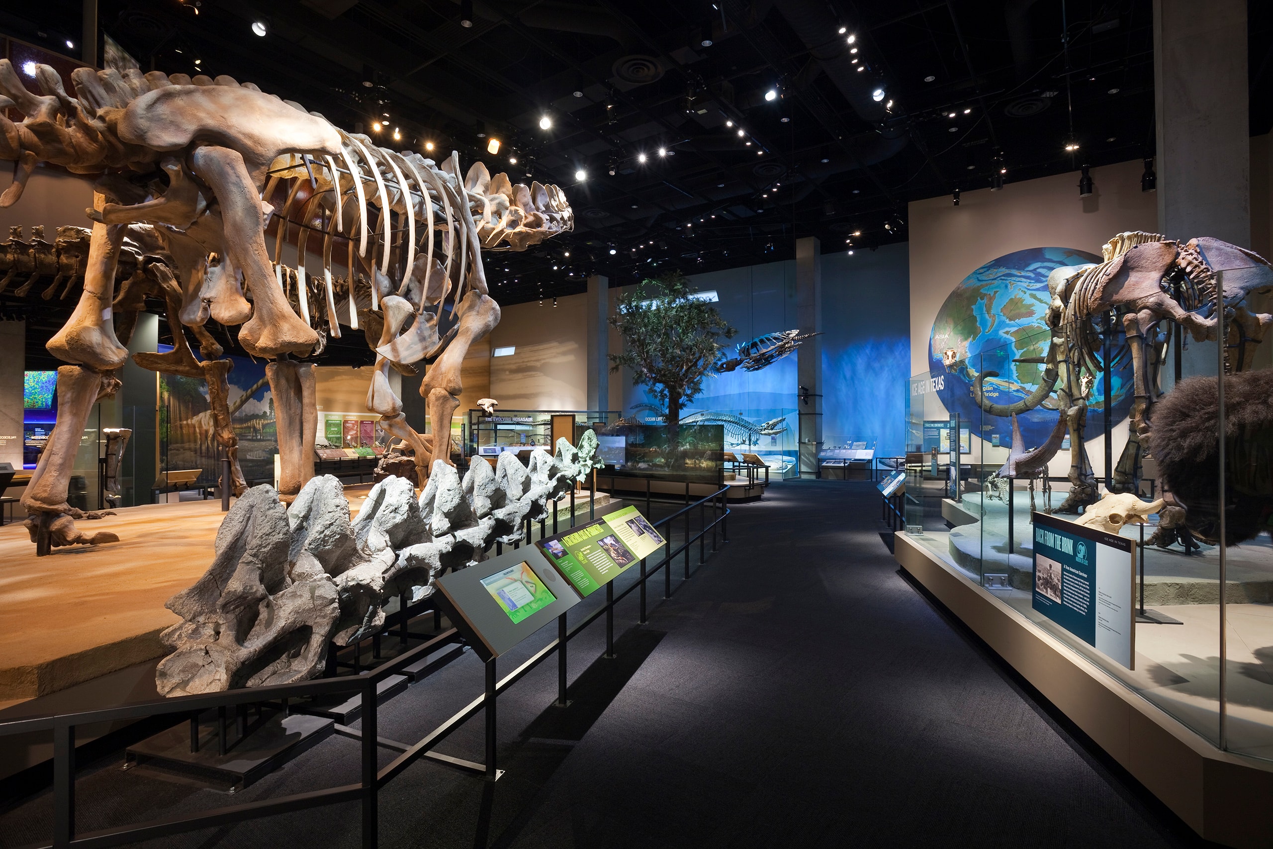 PMNS_02_available-light_museum