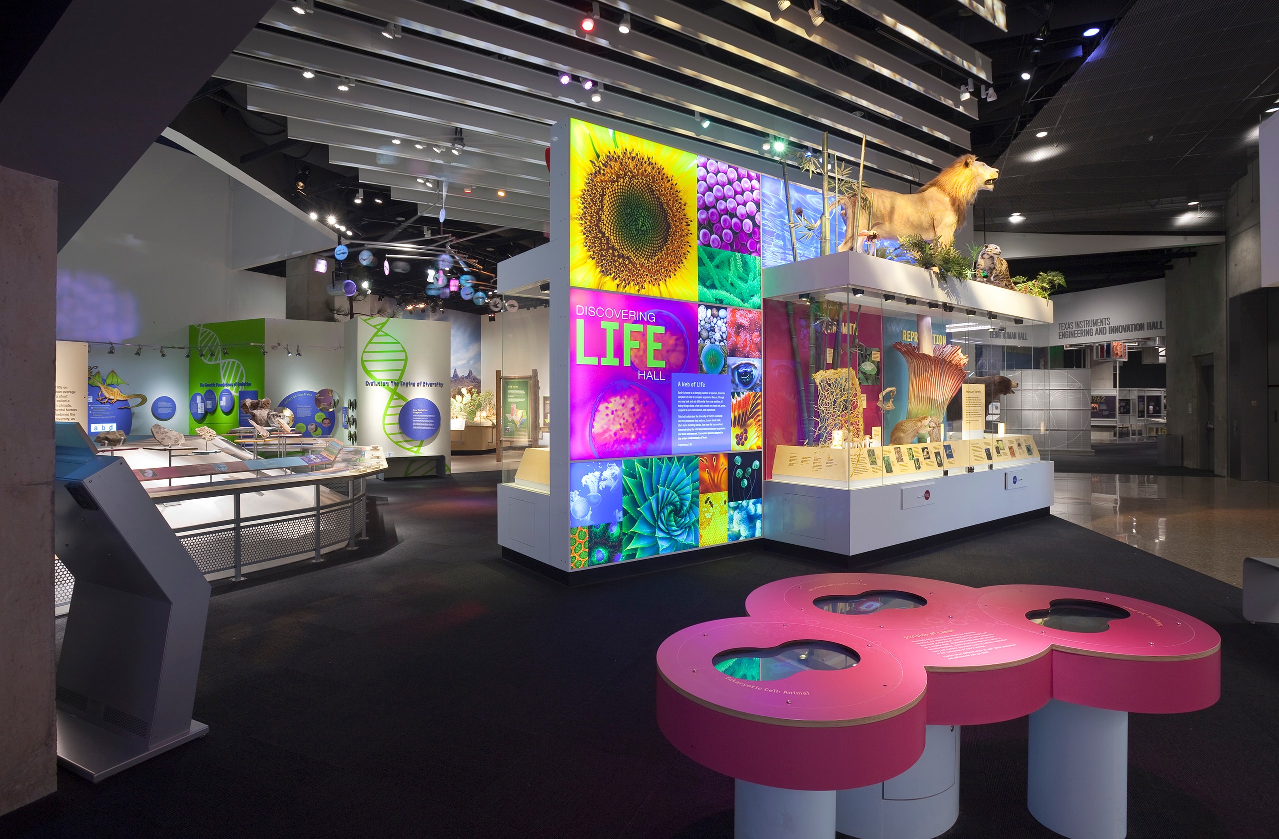 PMNS_03_available-light_museum