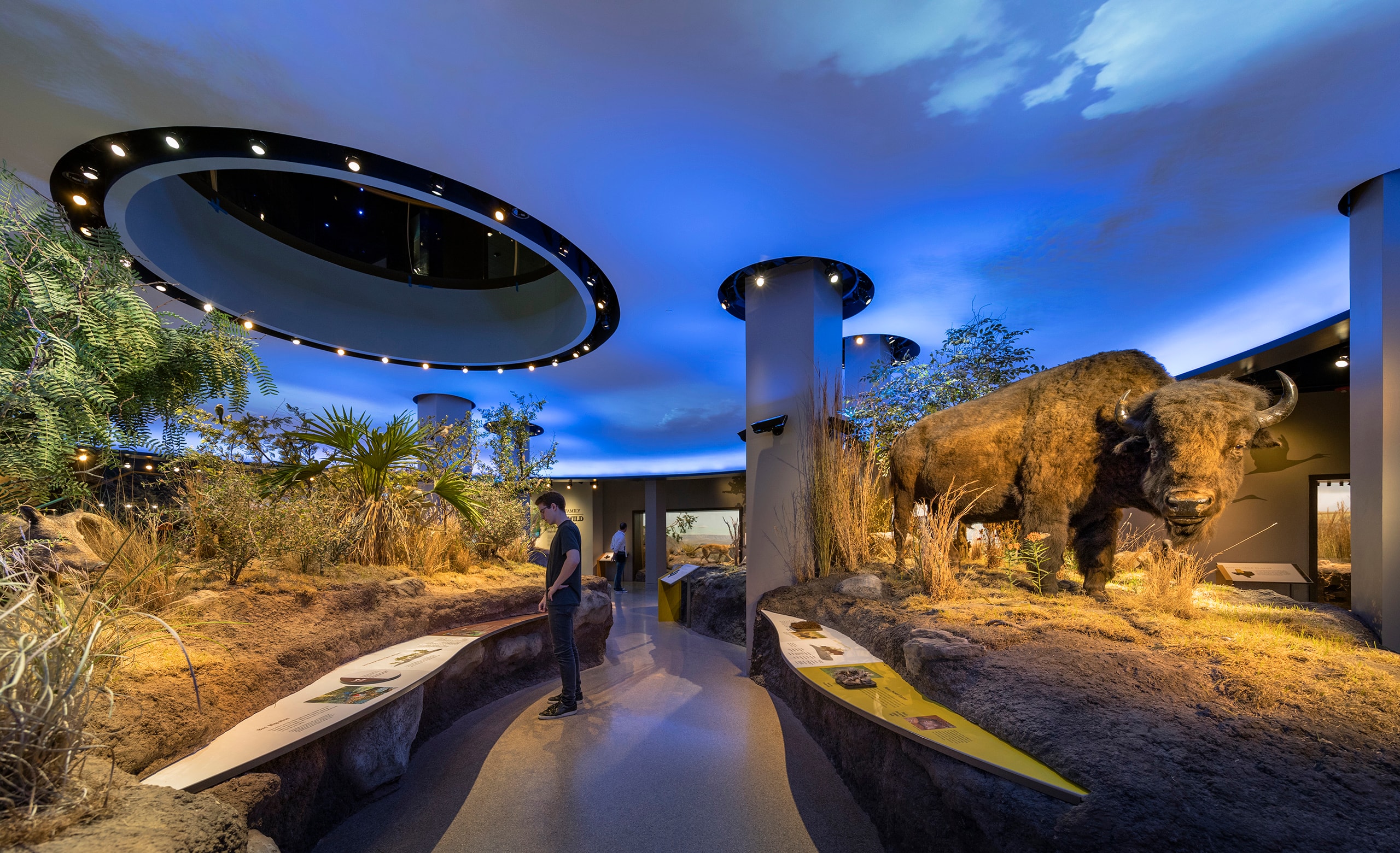 Witte17_02_available-light_museum