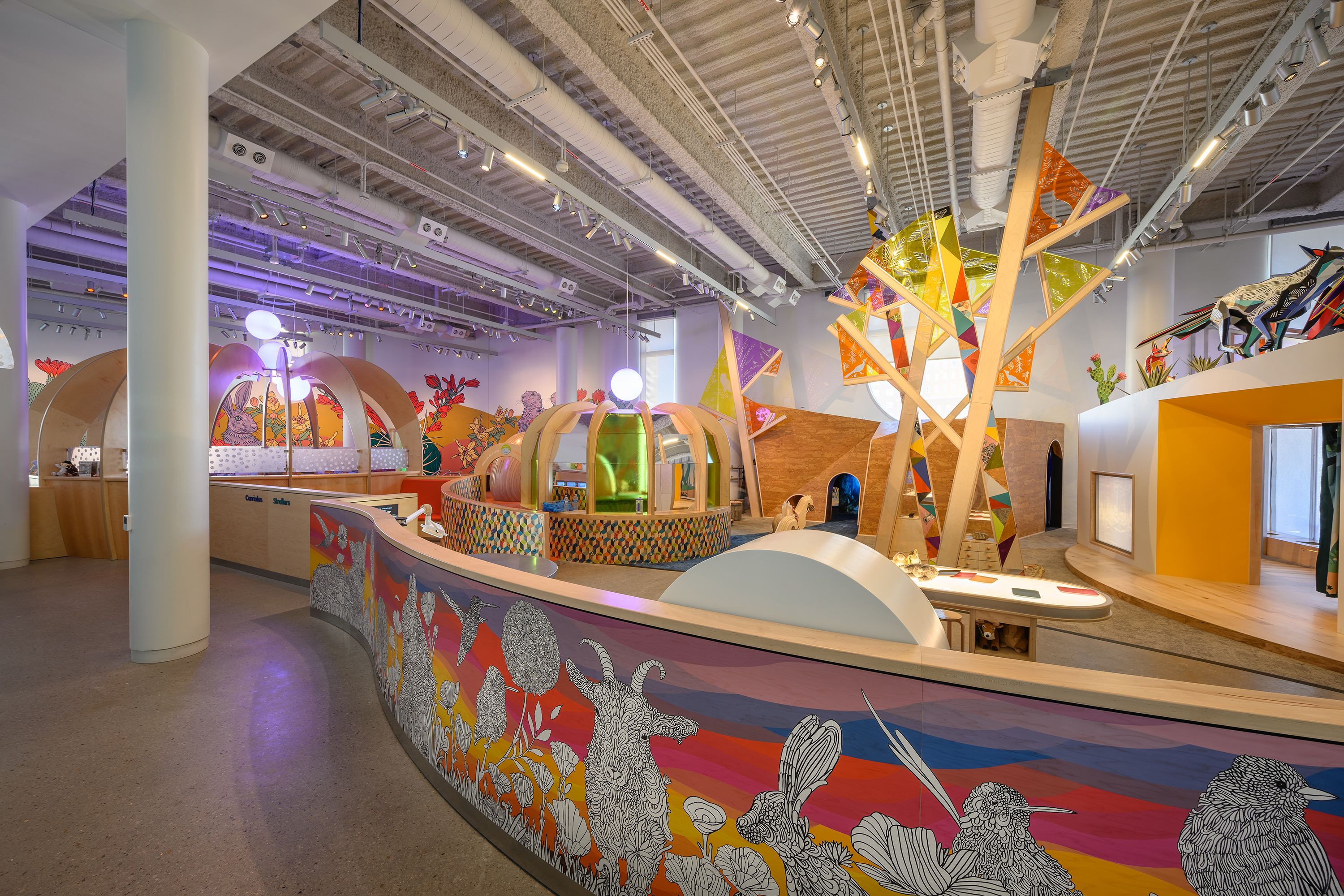 Available Light | La Nube STEAM Discovery Center | Architecture 03