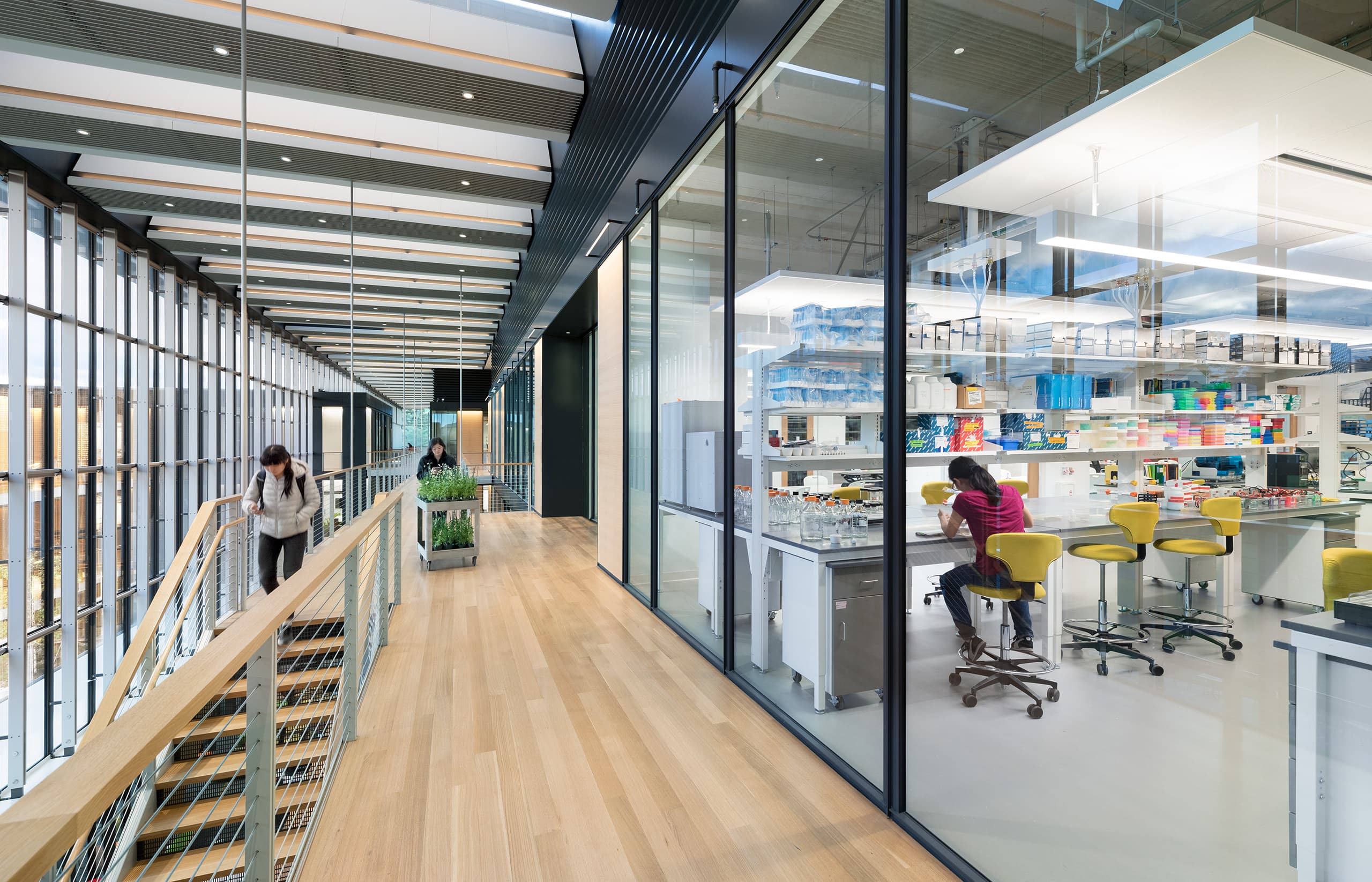 AmherstSC_03_available-light_architecture AmherstSC_03_available-light_architecture