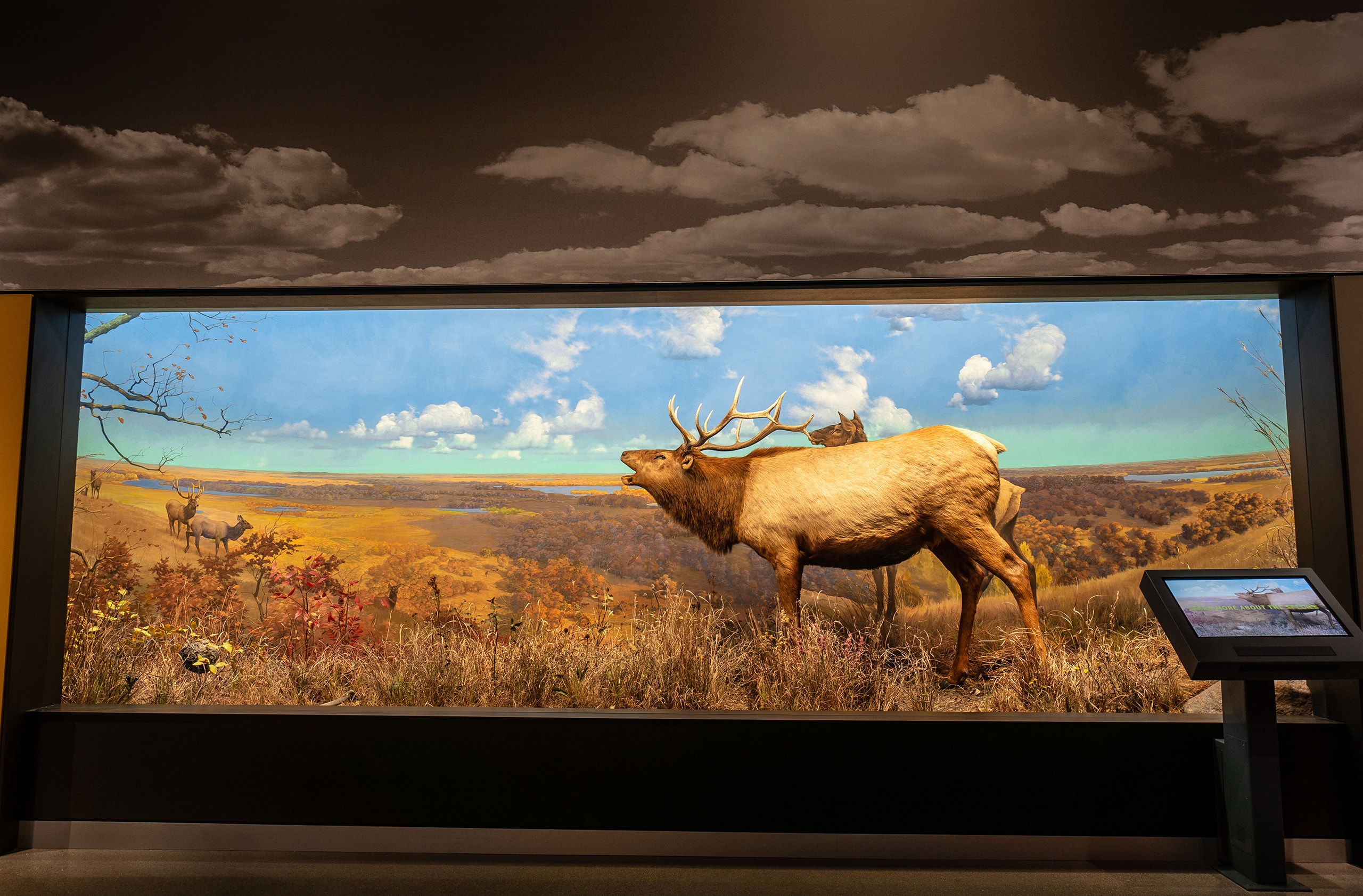 Bell_04_available-light_museum Bell_04_available-light_museum