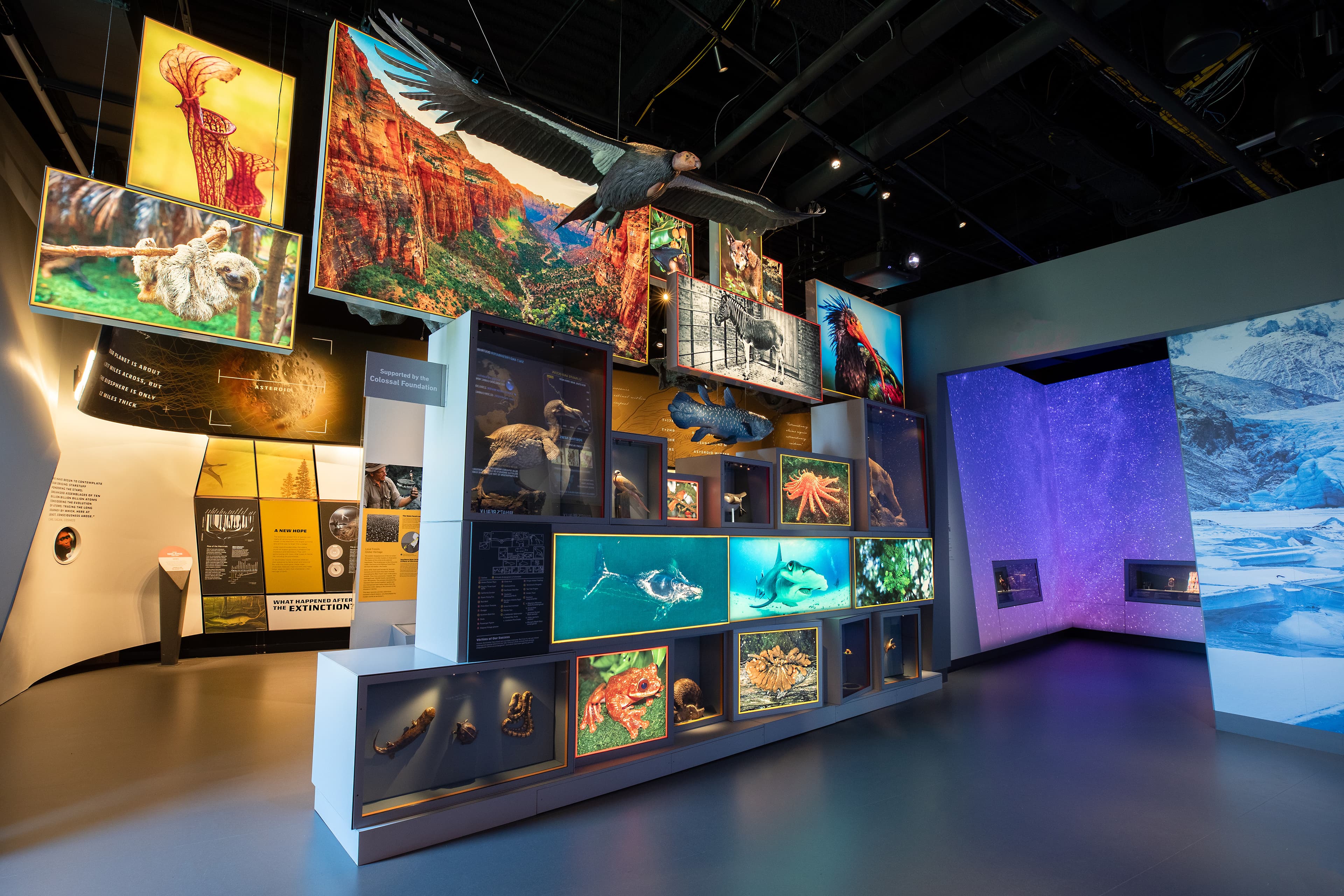 Edelman_03_available-light_museum Edelman_03_available-light_museum