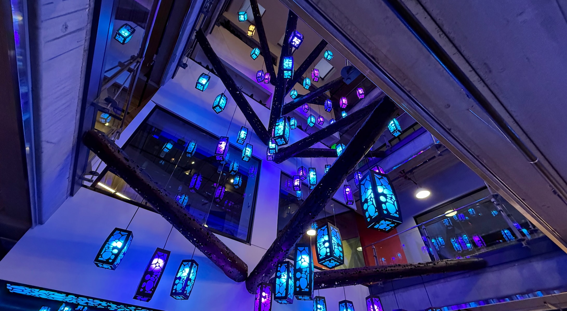 Indiana Donor Memorial_08_available-light_experiential Indiana Donor Memorial_08_available-light_experiential