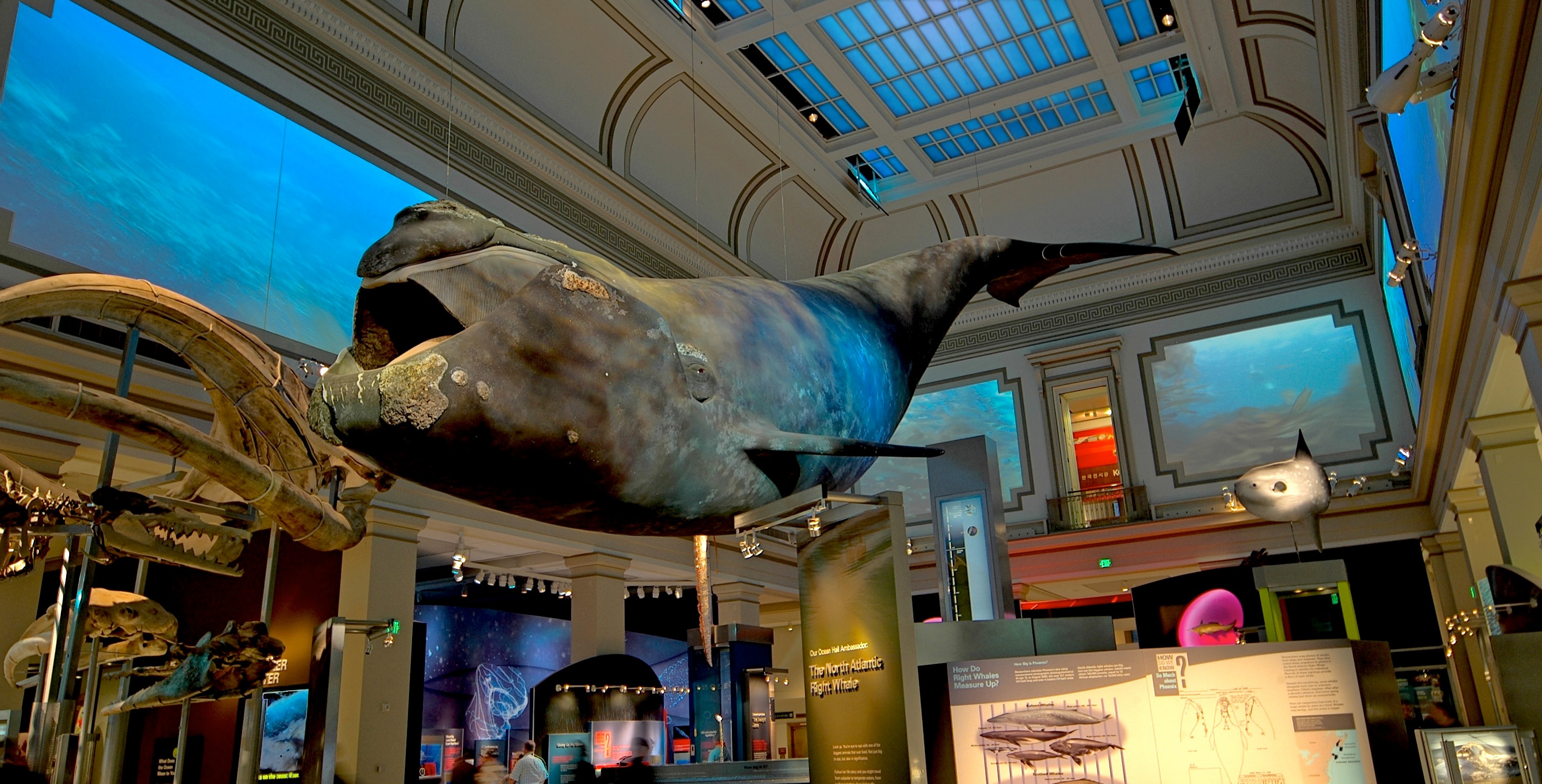 Ocean Hall_08_available-light_museum Ocean Hall_08_available-light_museum