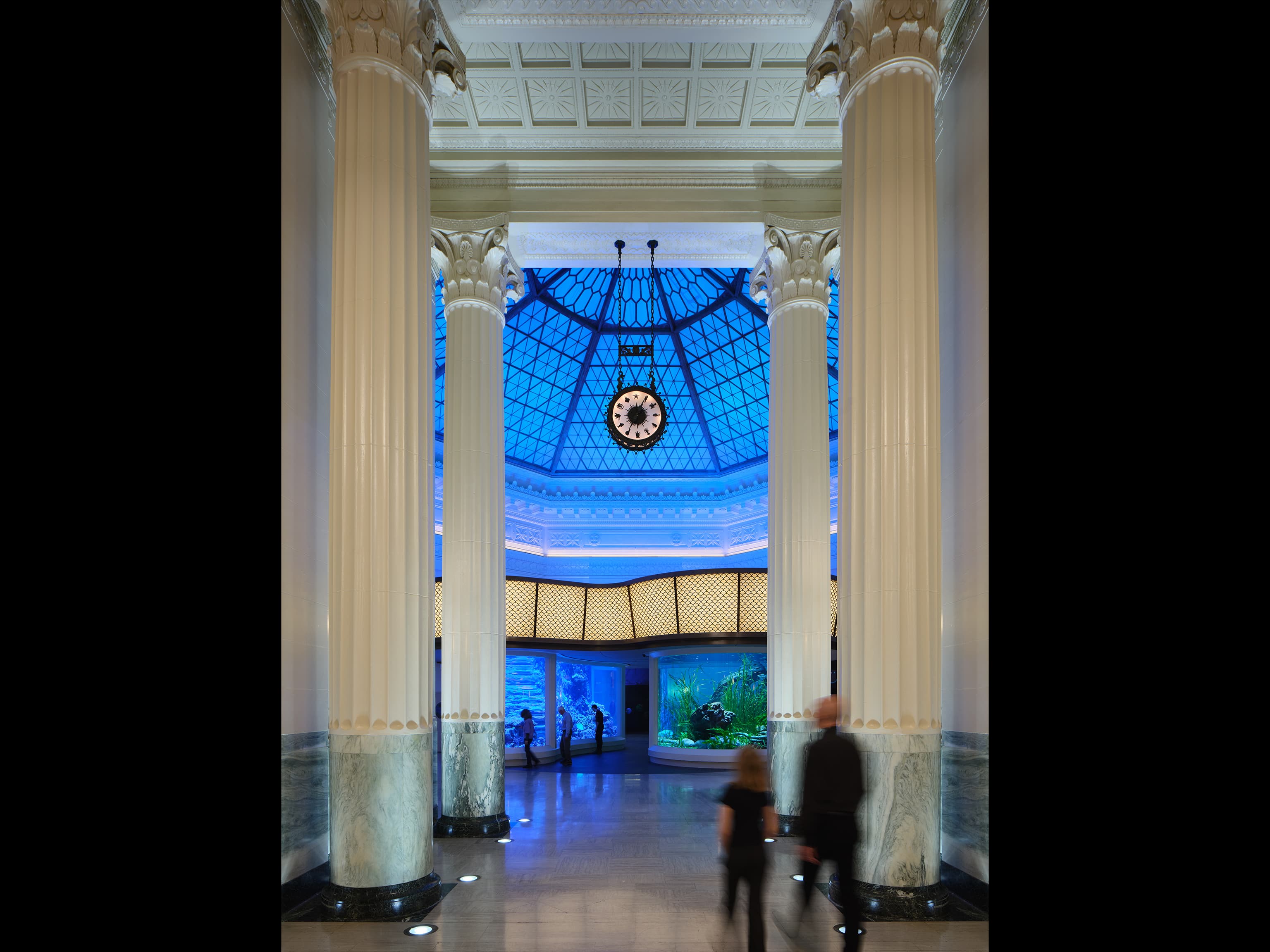 Shedd-07-available-light-museum Shedd-07-available-light-museum