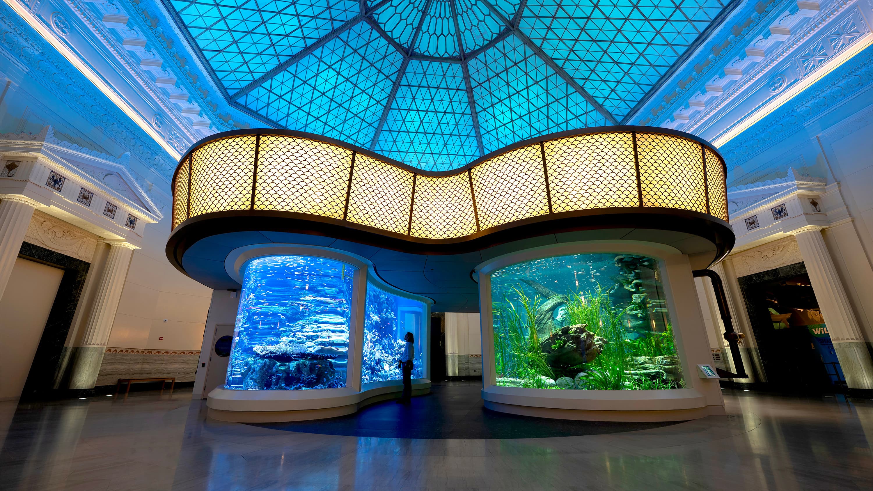 Shedd_01_available-light-museum1 Shedd_01_available-light-museum1